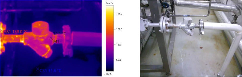 Steam Trap Thermal Measurement 2